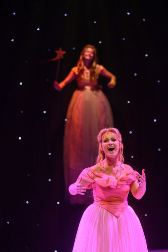 Doornroosje de Musical