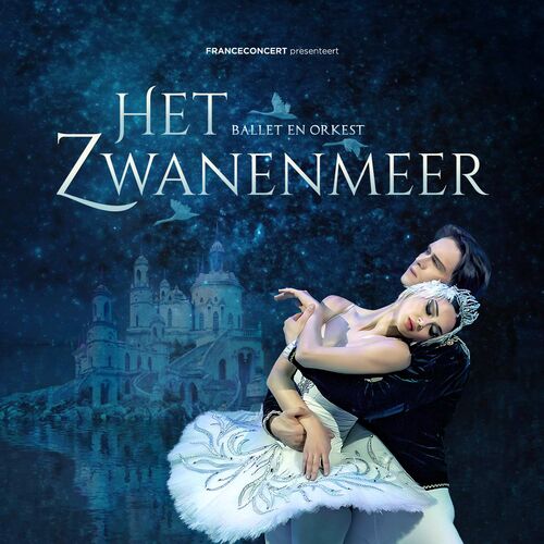 Het Zwanenmeer