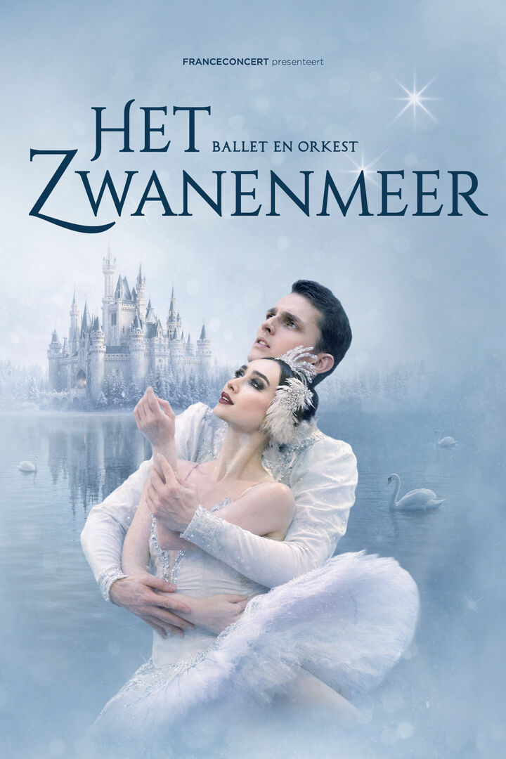 Het Zwanenmeer