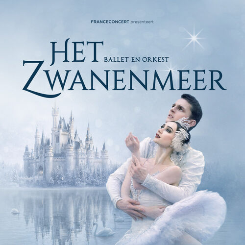Het Zwanenmeer