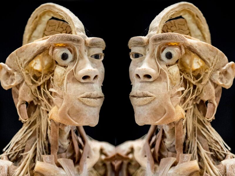 Human Bodies tentoonstelling 