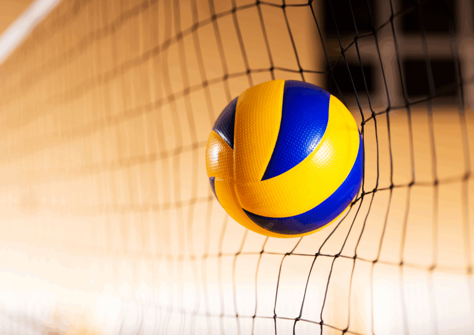 Oefenwedstrijd TeamNL Volleybalheren - België