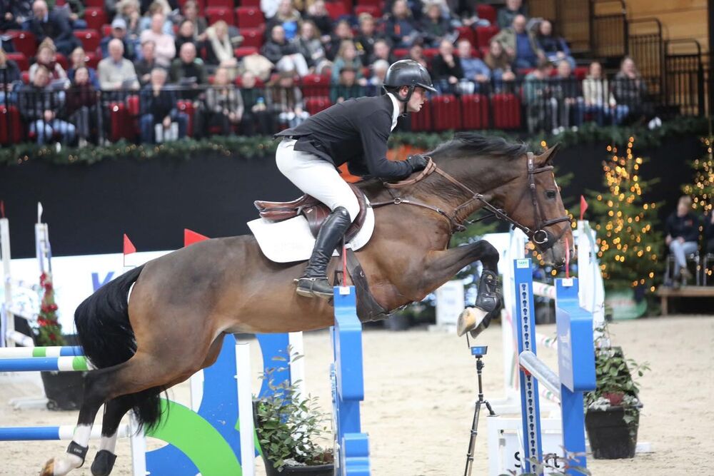 Tweede editie van Internationaal Indoor Concours Hippique in Martiniplaza een groot succes